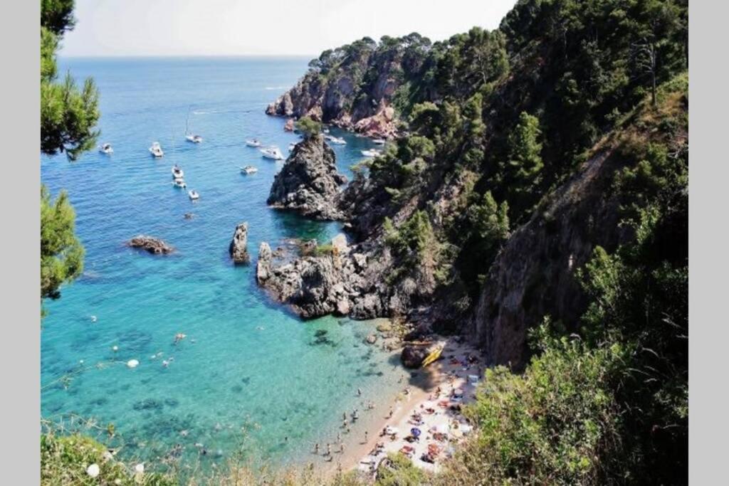 With Swimming Pool, Near To The Beach Apartment