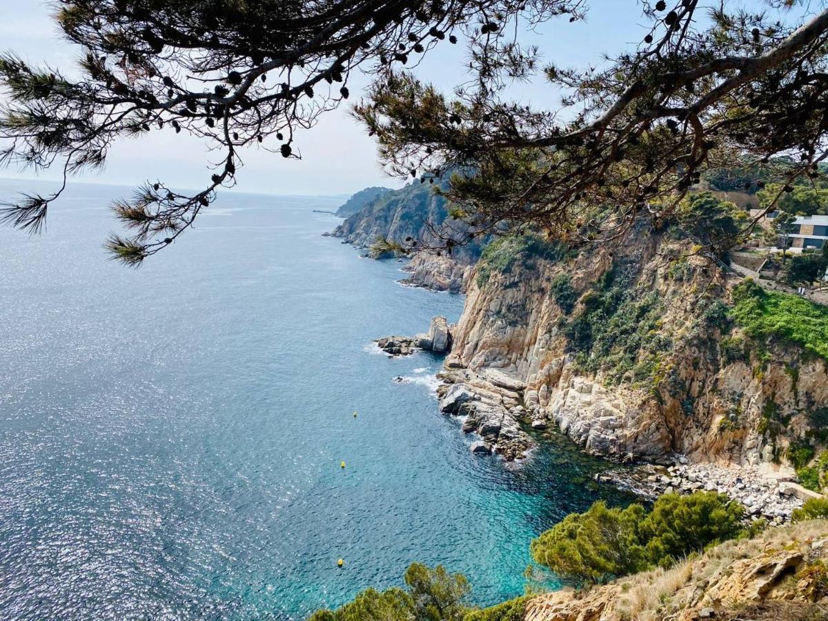Vidabrava, Tossa Medievo, A 150 M De La Playa