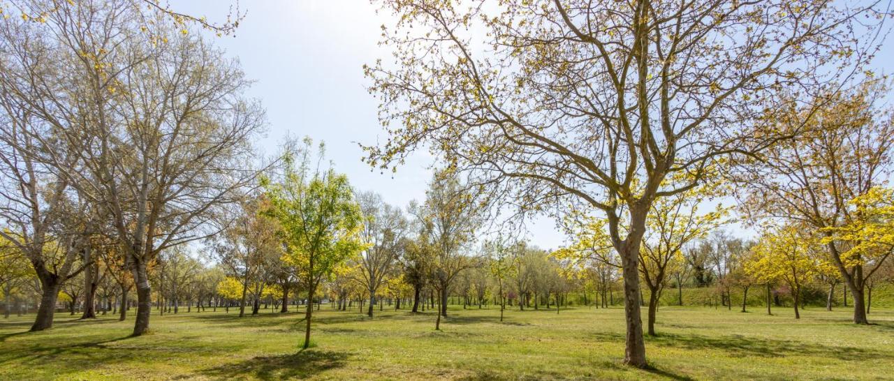 Holiday home Goldhome - Puigmalc *