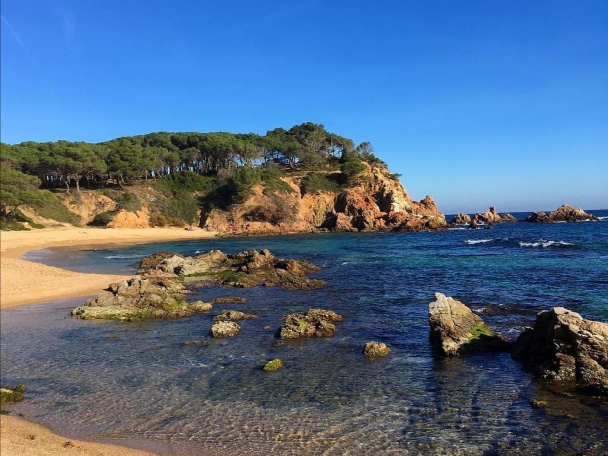 Lloguer30 Delfines, Swimming Pools , Near The And With Parking