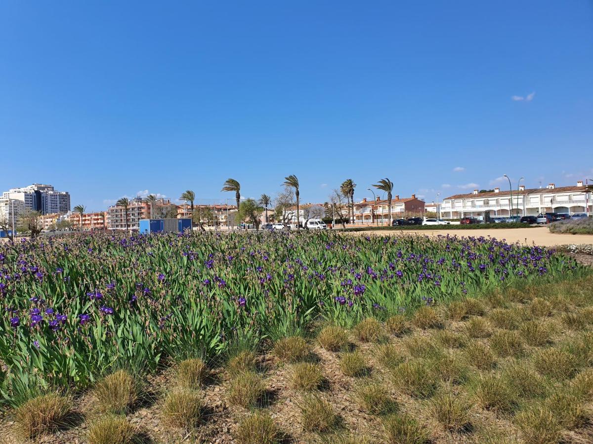 Estudio Violet * Empuriabrava