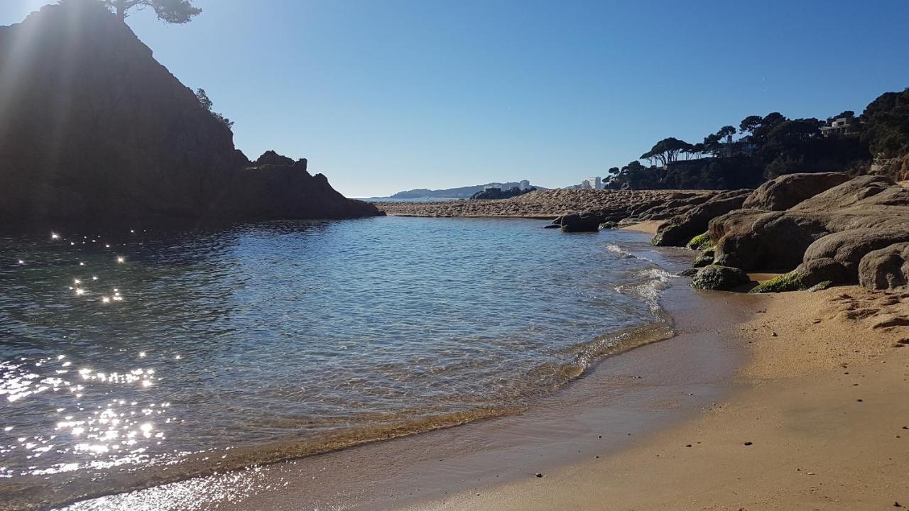 Apartamento Junto Al Mar Con Jardin Comunitario Y Parking *