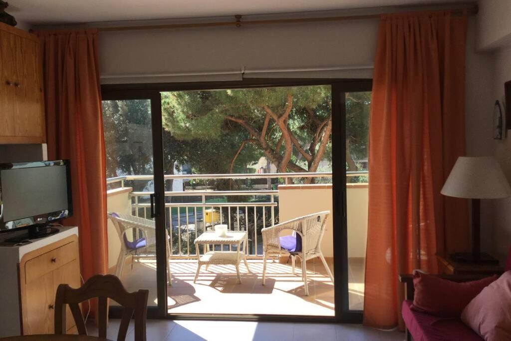 Apartamento Junto Al Mar Con Jardin Comunitario Y Parking