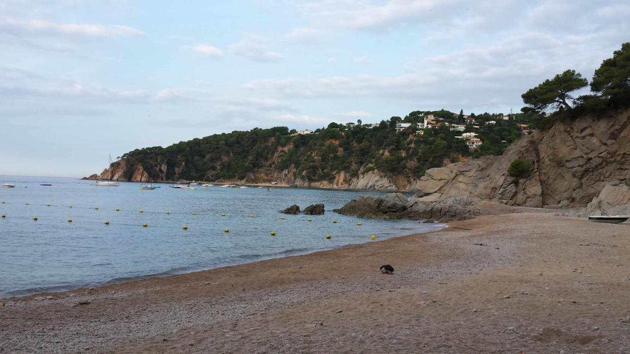 Cala Llevadó Five Piscina Terraza En Cala Llevadó Apartamento Tossa de Mar