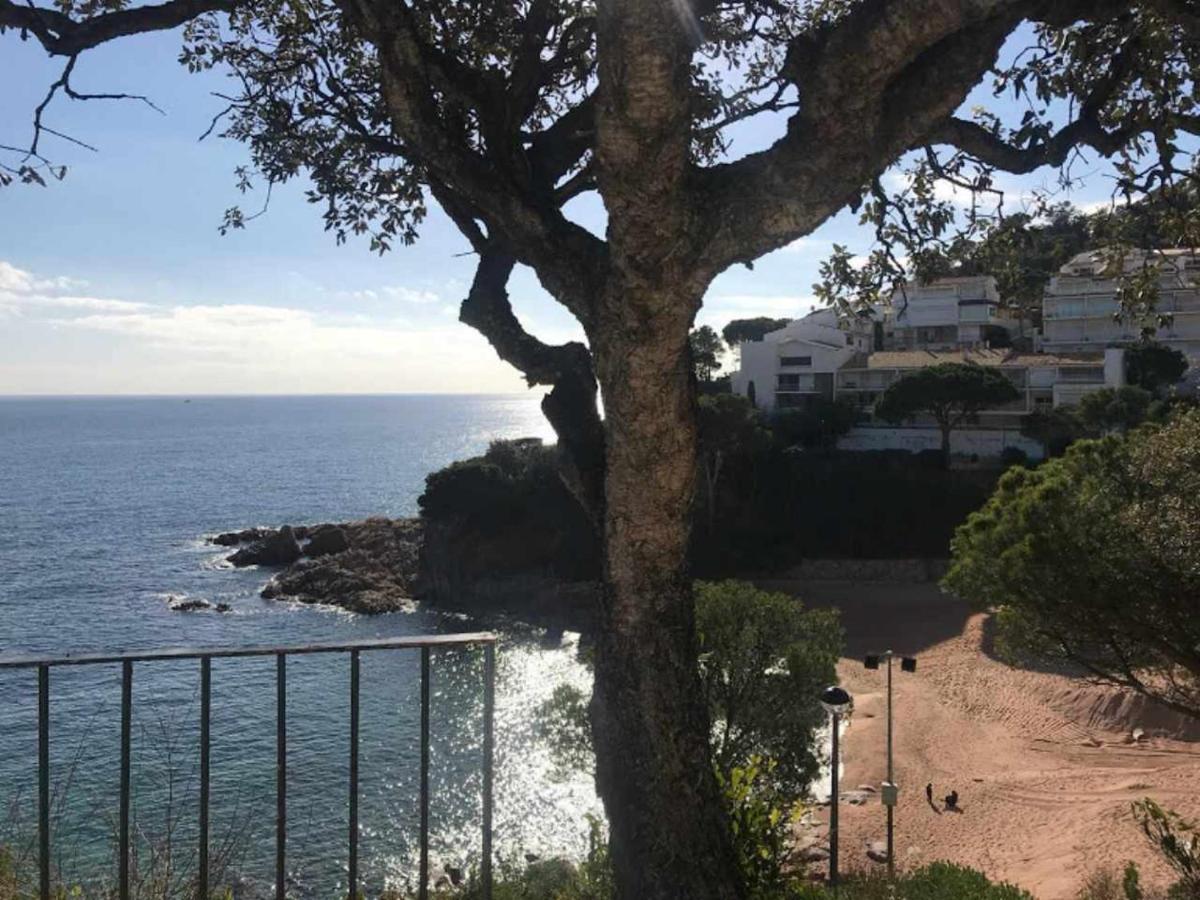 Apartamento Cala Salionç Playa Frente A La Playa Y Encima Del Mar