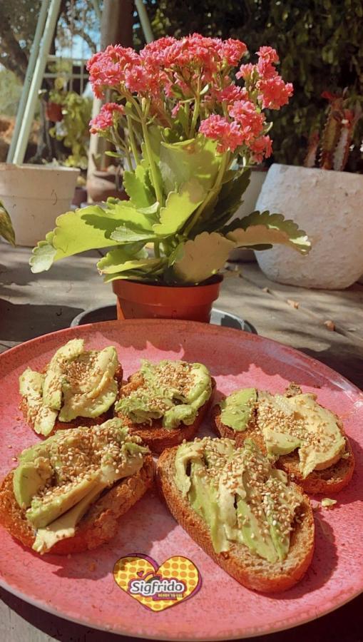 Bed & Breakfast El Mas Benet