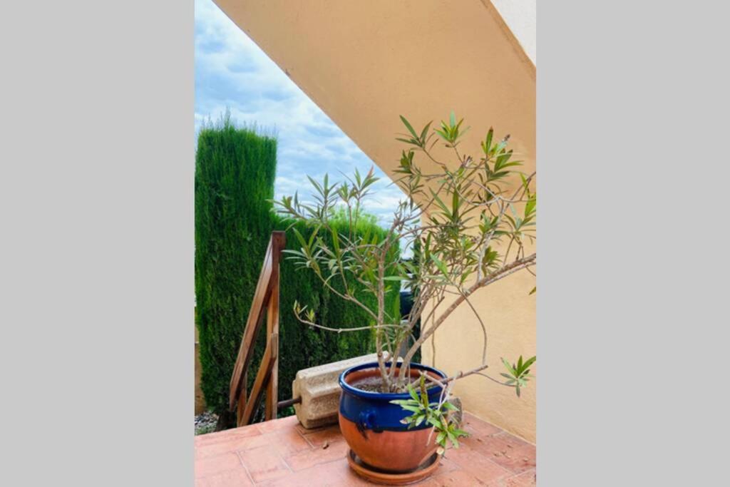 L'era De Viñas Apartamento *