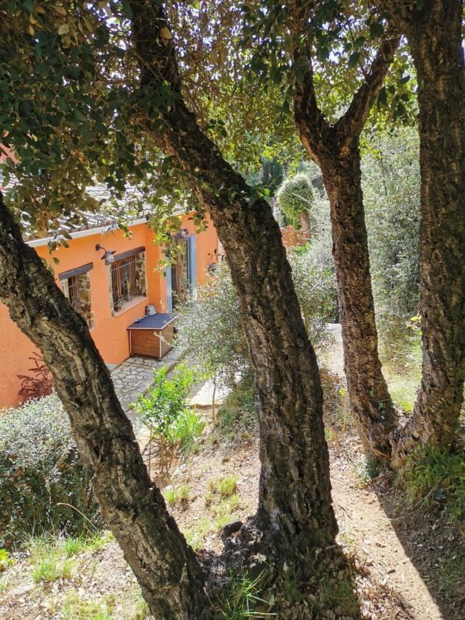 Villa Unica Con Piscina Privada Y Vistas Al Mar. *