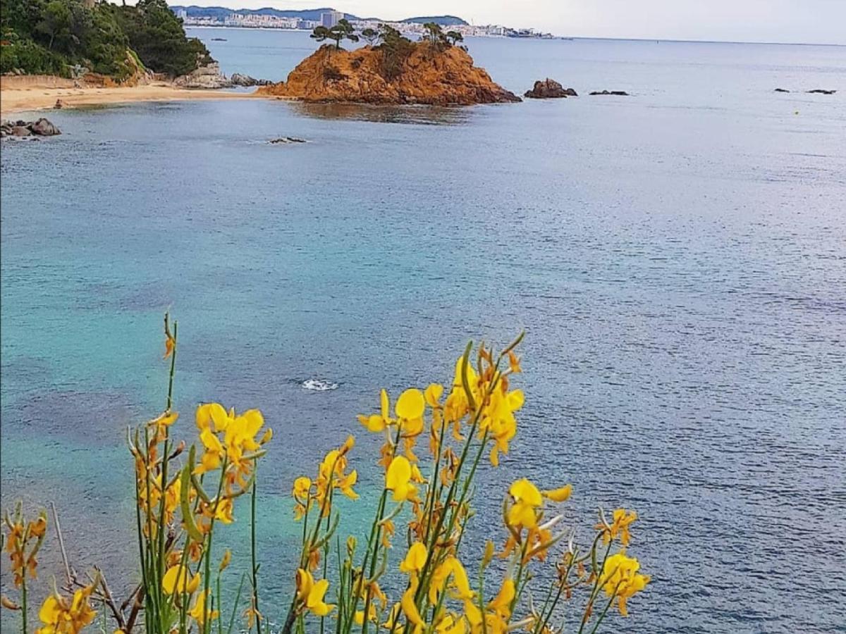 Lloguer30 Delfines, Swimming Pools , Near The And With Parking Apartamento