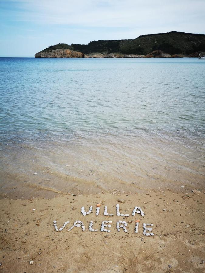 Valerie Bio & Zen *
