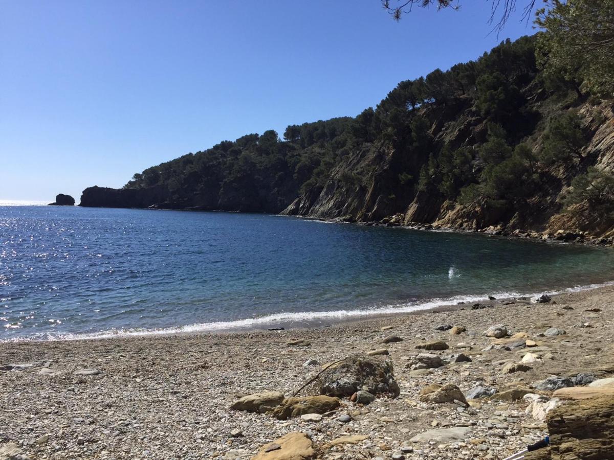 Far Bay *