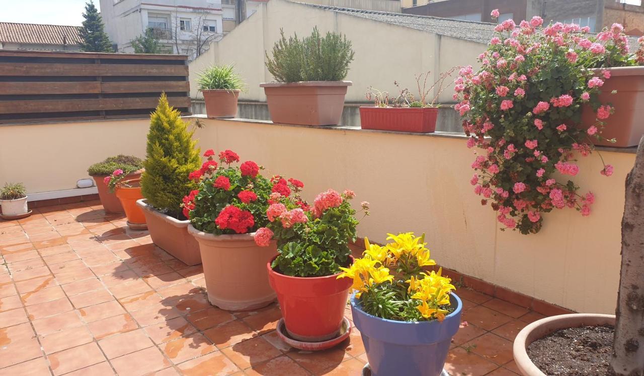 Apartment Vilallonga