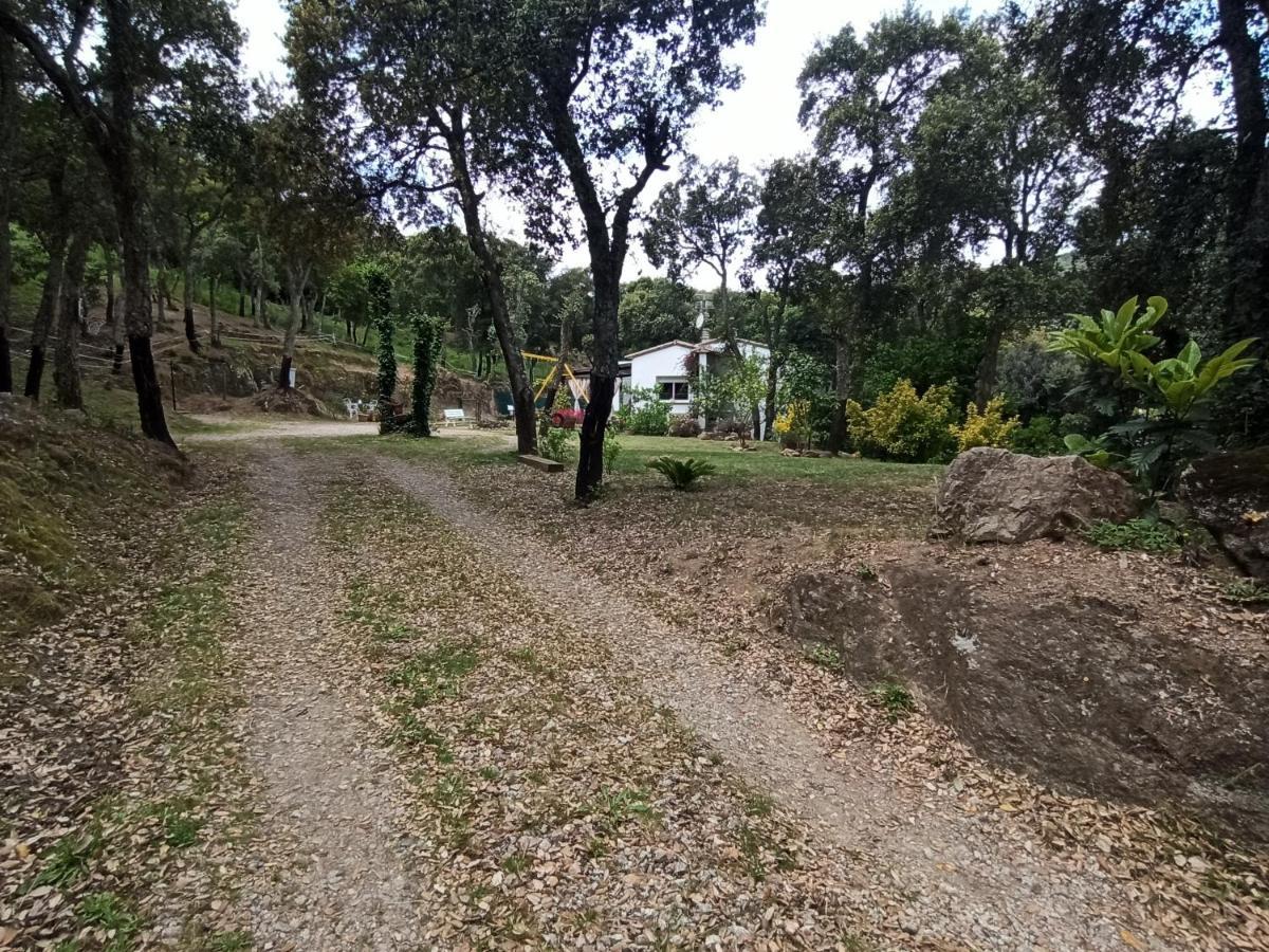 Сasa de vacaciones En Entorno Natural De La Costa Brava