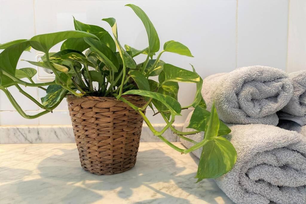 Llebeig -casa Mediterránea Con Gran Jardín * Cadaqués