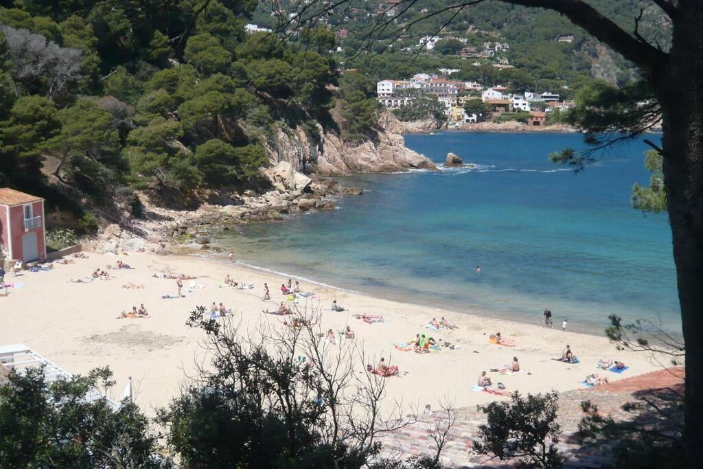 Bravaholidays-112-kristel 8 Apartment Blanes