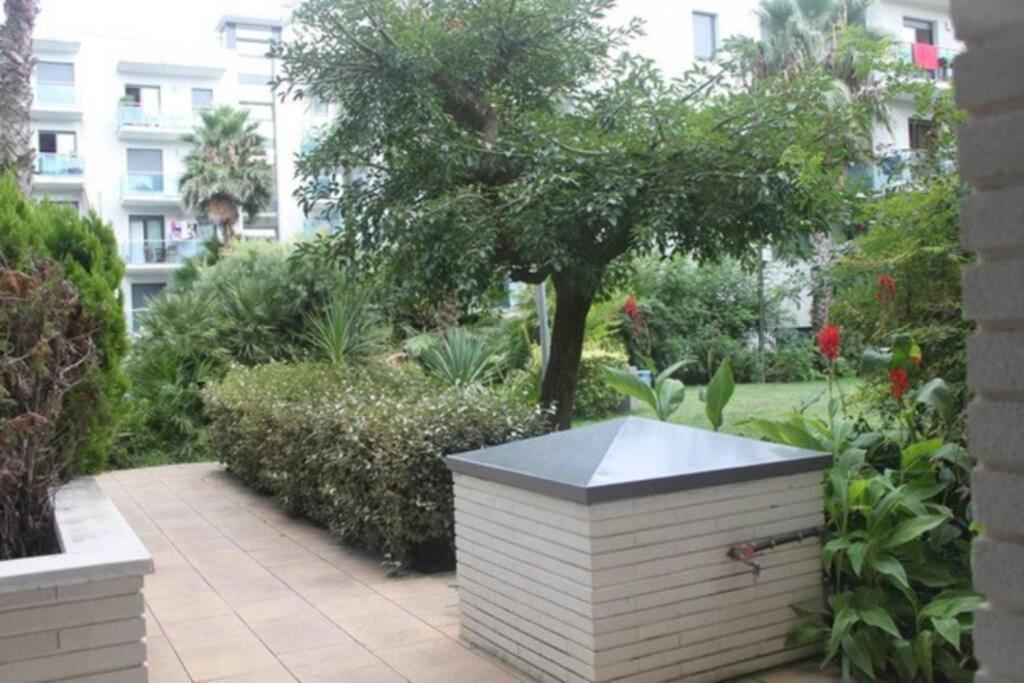 Apartamento Con Piscina