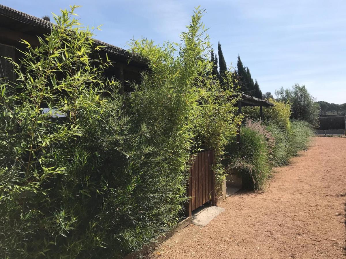 Apartment Hauzify I Aires De L'emporda Montras