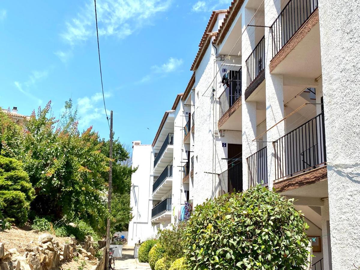 Palomar 6 *