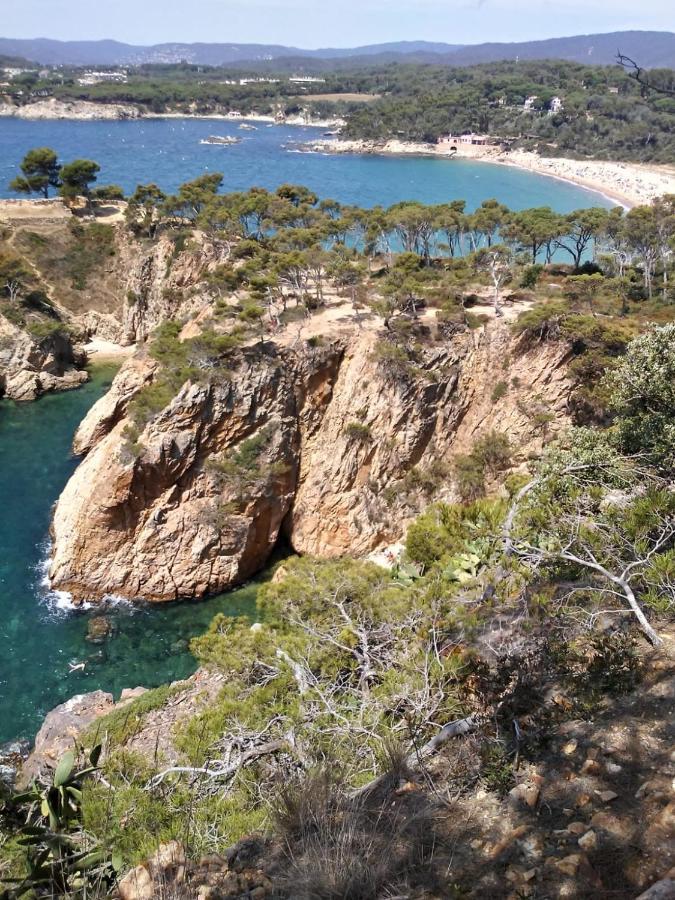 Сasa de vacaciones L'arboc
