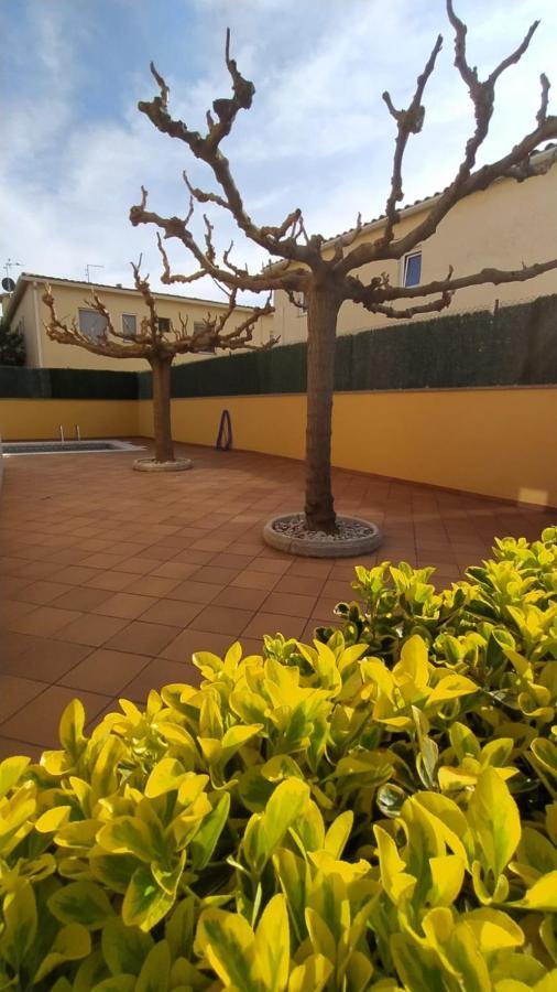 Magnolia 2, Casa Con Piscina Y Barbacoa A 100m De La Playa