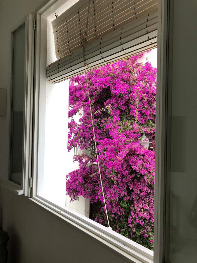 Centric Townhouse - Casa Voltes - Holiday home *