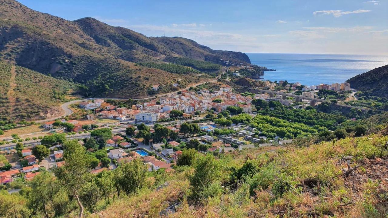 Margarida