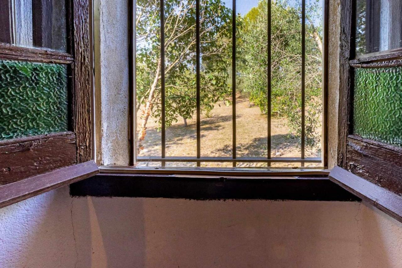 Setmaneta Casa Rural En El Alt Emporda Gerona