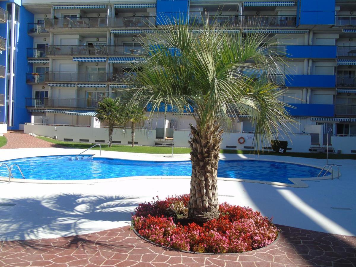Avec Attico Et Piscine Roses