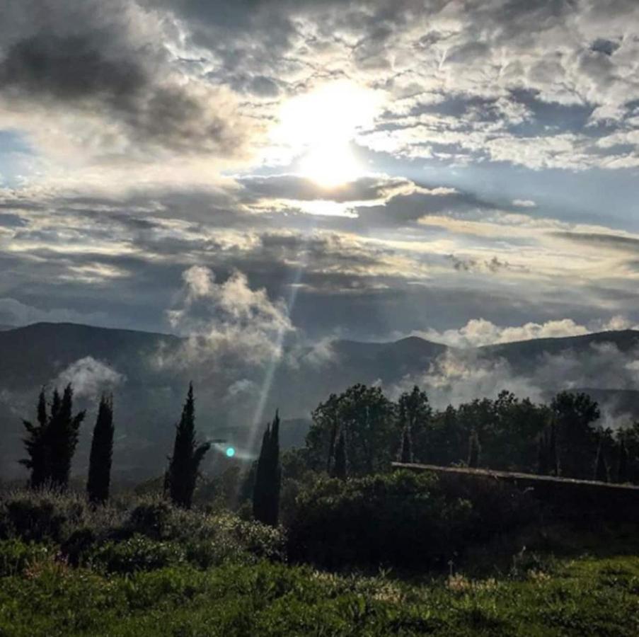 Mountain Refuge
