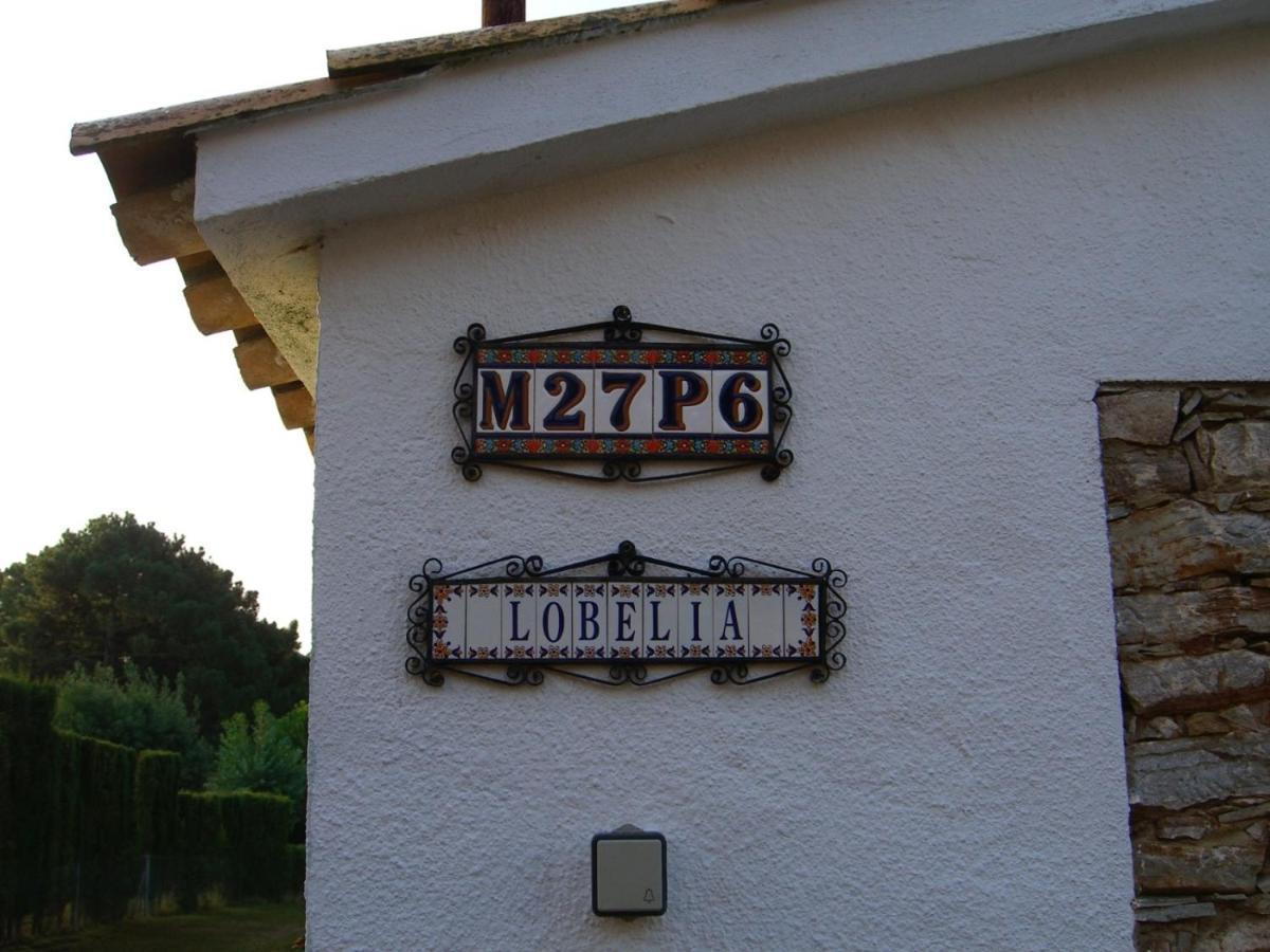 Casa Lobelia Villa *