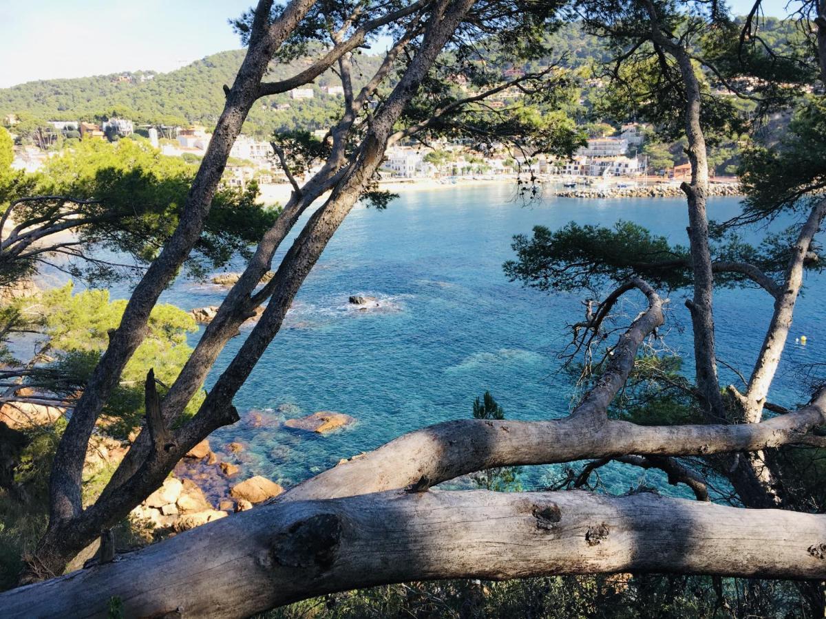 Ancora * Llafranc