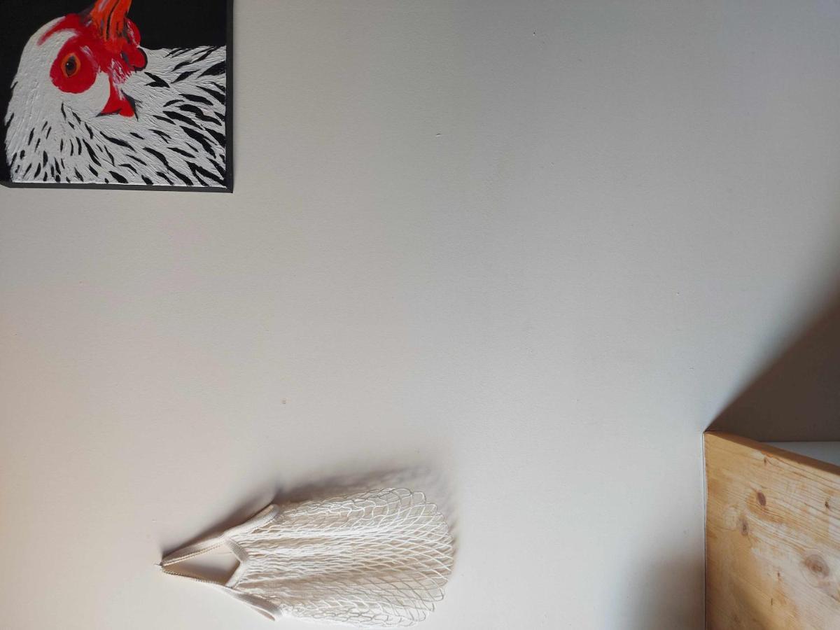 Apartment Casa Diana - B - By Lohodihomes Sant Jordi Desvalls