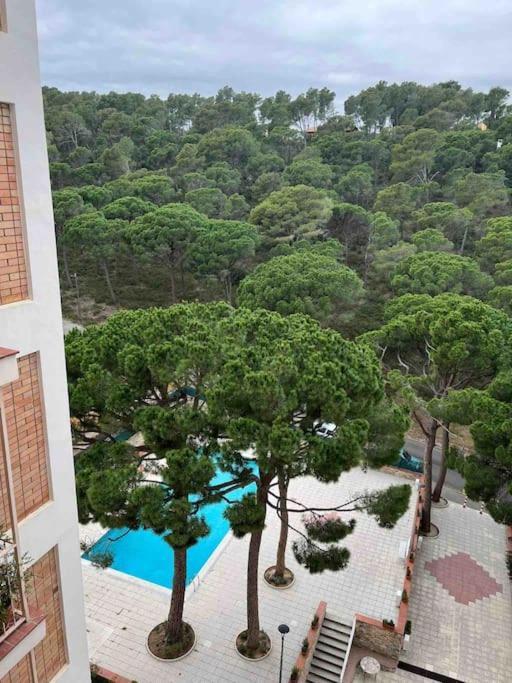 Apartamento En Playa De Con Encanto Y Vistas Apartment