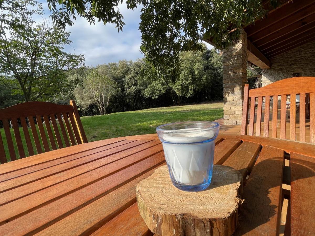 El Vilarot. La Casa De Piedra En La Naturaleza. Chalet Girona