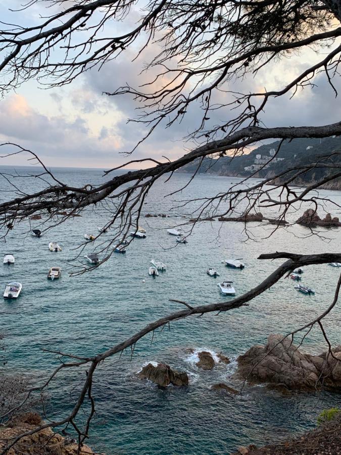 Apartment Luminoso Paloma A 350 Metros De La Playa Con Parking Gratuito Sant Feliu de Guixols