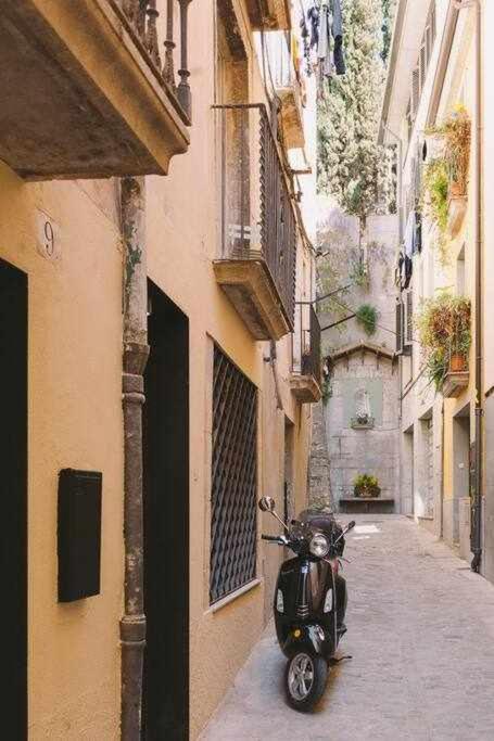 Velo Vern 3 Luxury Penthouse W Views Of * Girona
