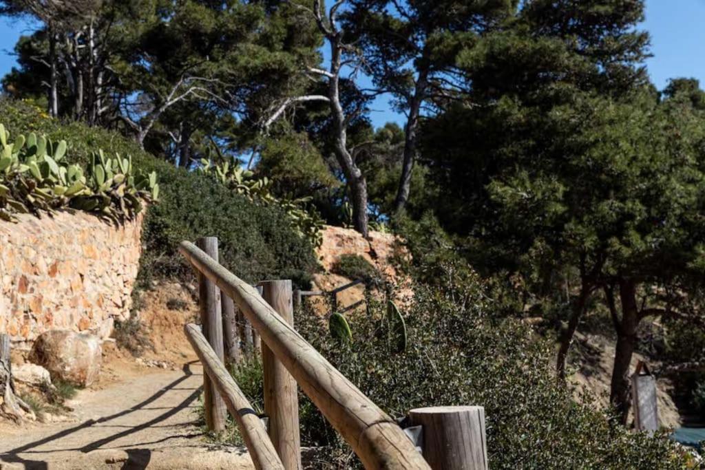 Apartment Calma S'alguer Luxury