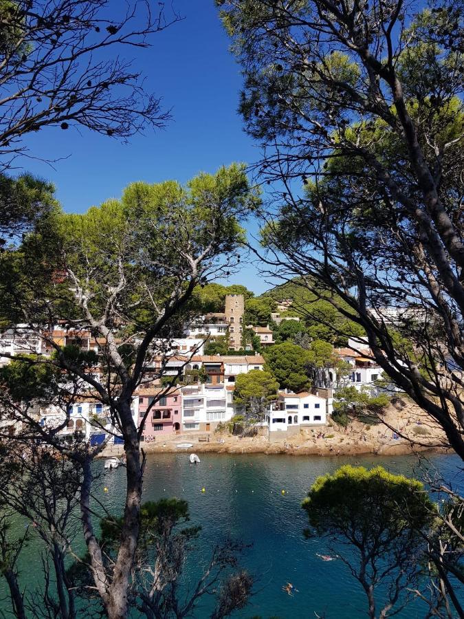 Mareva *