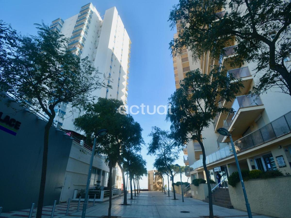 Elypalace C-5 Apartamento *