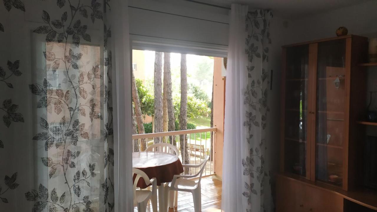 Bonito Apartamento, Con Piscina, Excelente Wifi Y Aire Acondicionado Apartment *