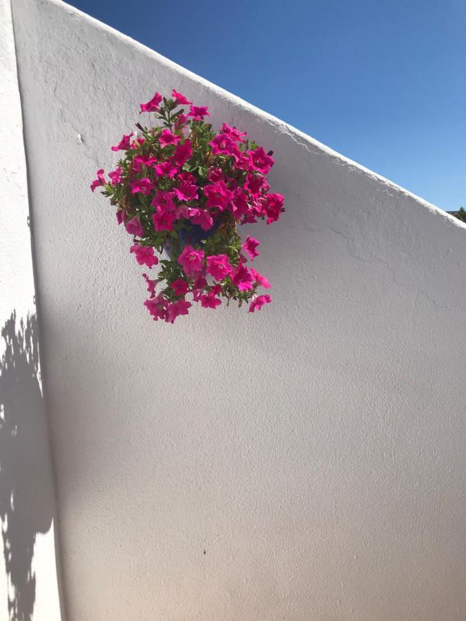 Apartamento Bonita *