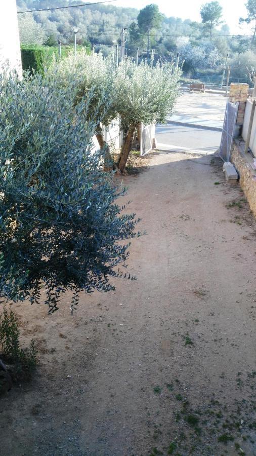 Apartamento La Pallissa 9
