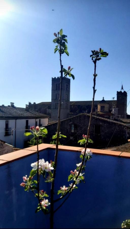 The Blue House Of The Costa Brava Arlet S Corner Apartment Castello  D'Empuries
