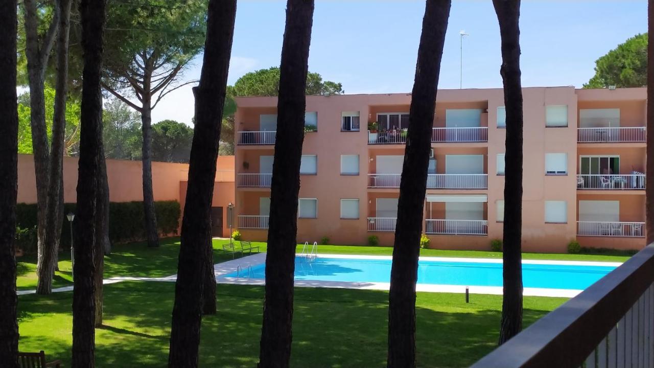 Bonito Apartamento, Con Piscina, Excelente Wifi Y Aire Acondicionado Apartment Pals