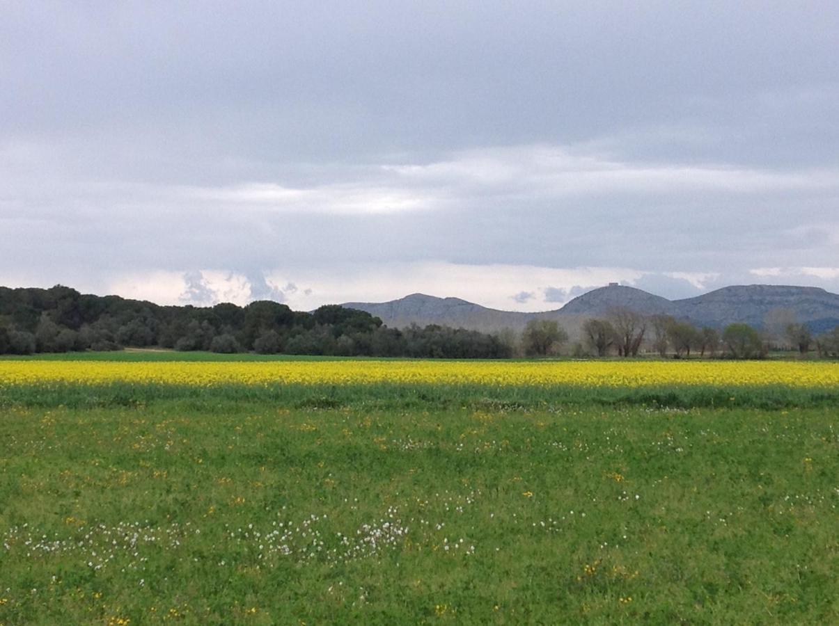 Apartamento El Niu De La Berta Bellcaire d'Emporda