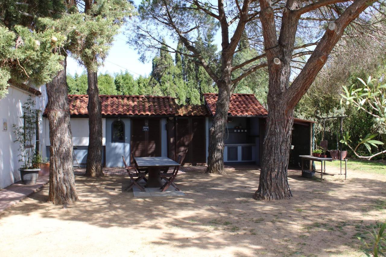 Casa Gecko Vilajuïga