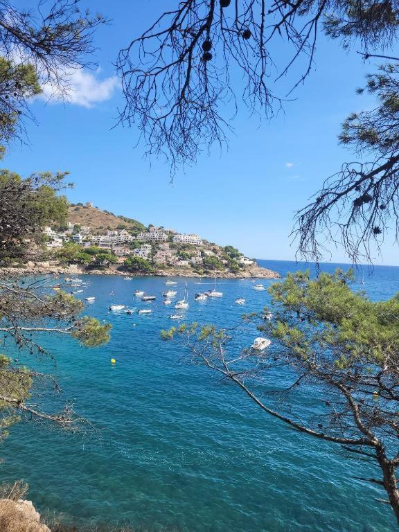 Cala Montgo Apartamento L' Escala