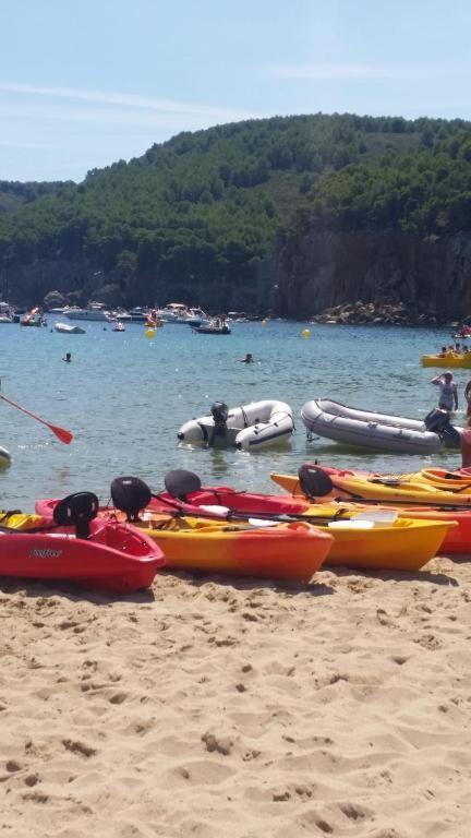 Cala Montgo