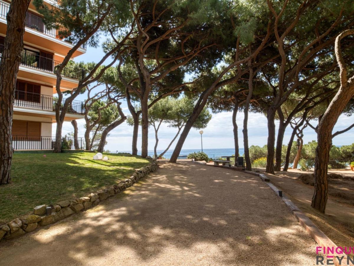 Cavall Bernat Apartamento *