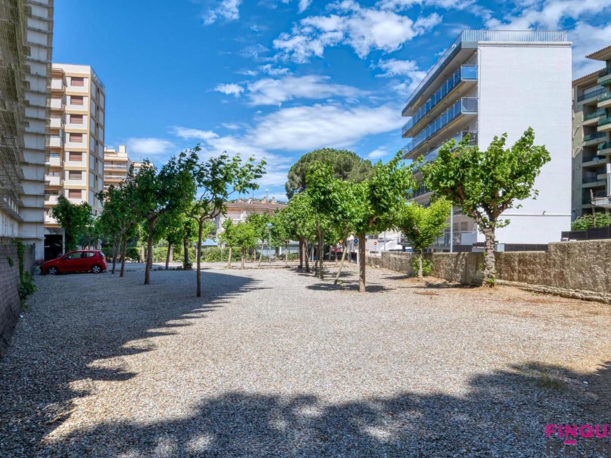 Cavall Bernat * Platja d'Aro